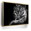 Featured image 7 for Tiger - Watercolor - Black and White
