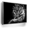 Featured image 8 for Tiger - Watercolor - Black and White