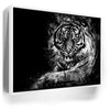 Featured image 6 for Tiger - Watercolor - Black and White