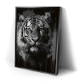 Thumbnail image 2 for Tiger Splash - Black and White