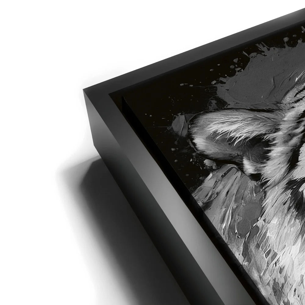 Featured image 11 for Tiger Splash - Black and White