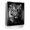 Featured image 5 for Tiger Splash - Black and White
