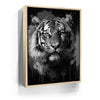Featured image 9 for Tiger Splash - Black and White