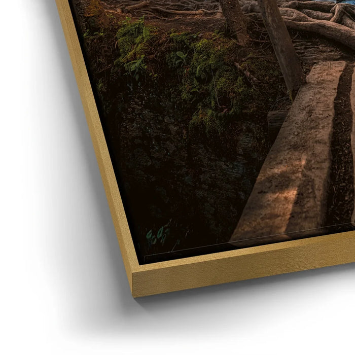 Featured image 12 for Timeless Cascades at Glacier National Park III