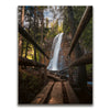 Featured image 1 for Timeless Cascades at Glacier National Park III