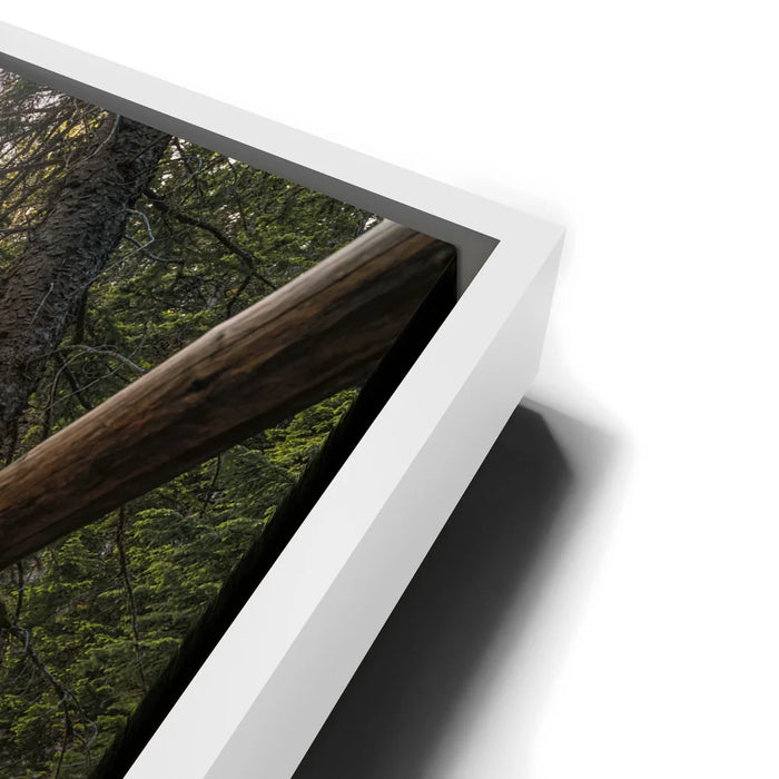 Featured image 13 for Timeless Cascades at Glacier National Park III