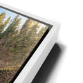 Thumbnail image 13 for Timeless Cascades at Glacier National Park IV