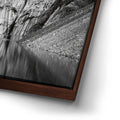 Thumbnail image 15 for Torres in the Morning Light