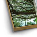 Thumbnail image 12 for Torri Gate Beneath Heavenly Tree