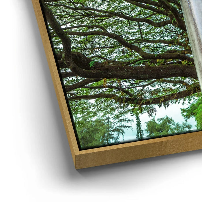 Featured image 12 for Torri Gate Beneath Heavenly Tree