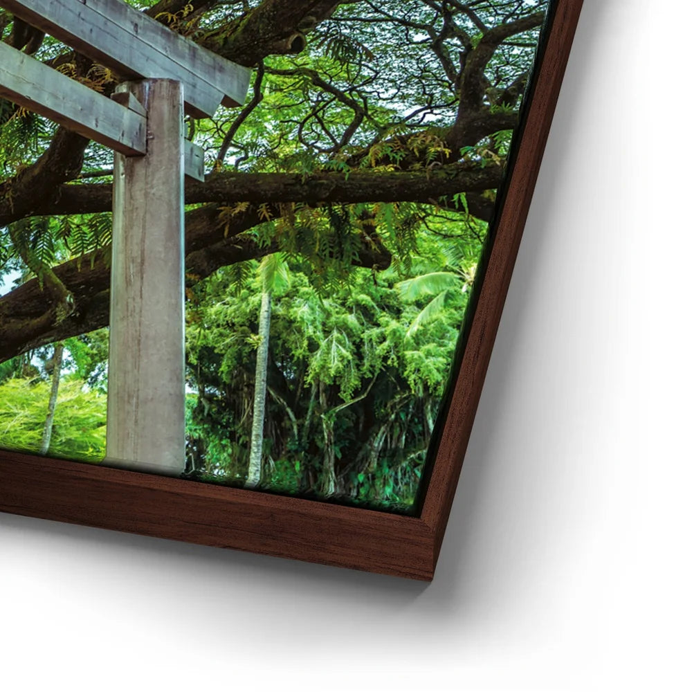 Featured image 14 for Torri Gate Beneath Heavenly Tree