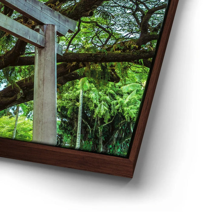 Featured image 14 for Torri Gate Beneath Heavenly Tree