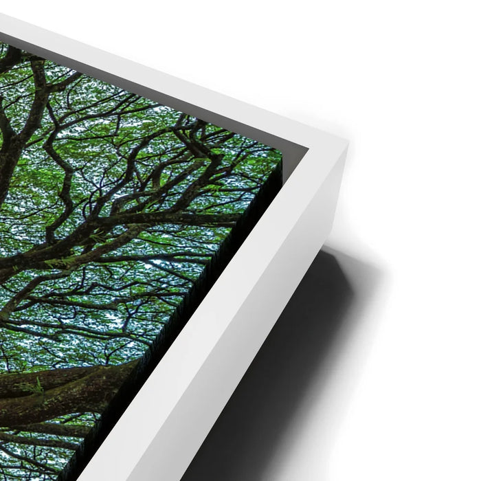 Featured image 13 for Torri Gate Beneath Heavenly Tree