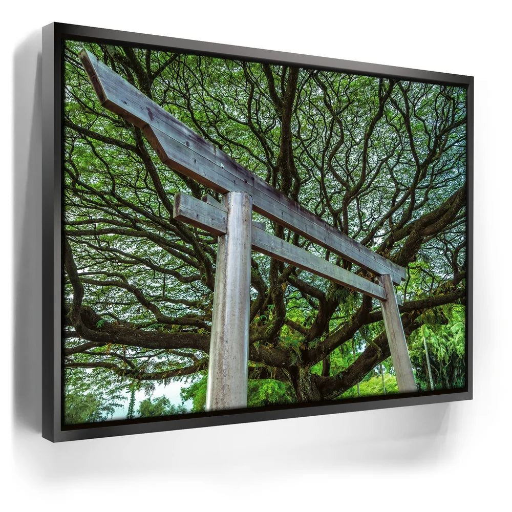 Featured image 5 for Torri Gate Beneath Heavenly Tree