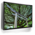 Featured image 5 for Torri Gate Beneath Heavenly Tree