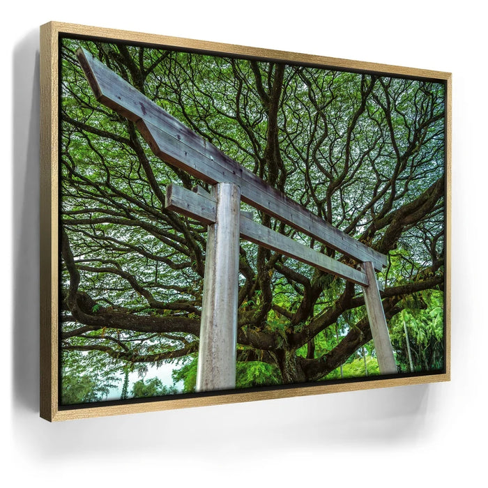 Featured image 7 for Torri Gate Beneath Heavenly Tree