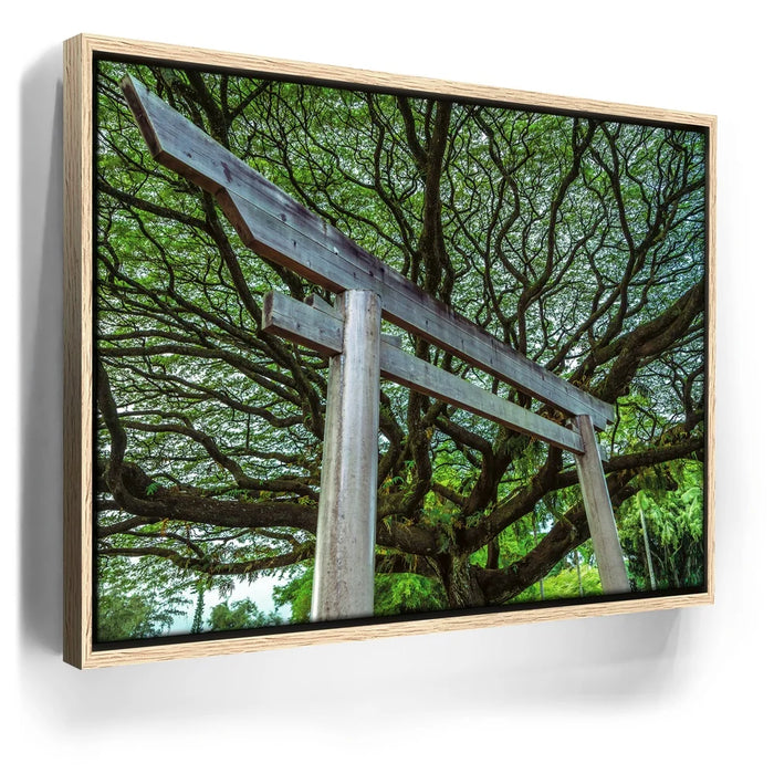 Featured image 9 for Torri Gate Beneath Heavenly Tree
