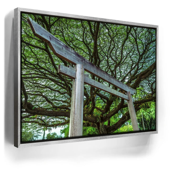 Featured image 8 for Torri Gate Beneath Heavenly Tree