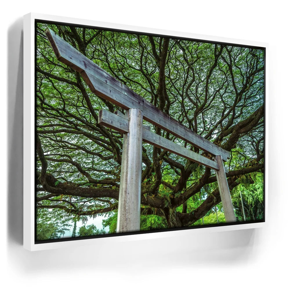 Featured image 6 for Torri Gate Beneath Heavenly Tree