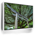 Featured image 6 for Torri Gate Beneath Heavenly Tree