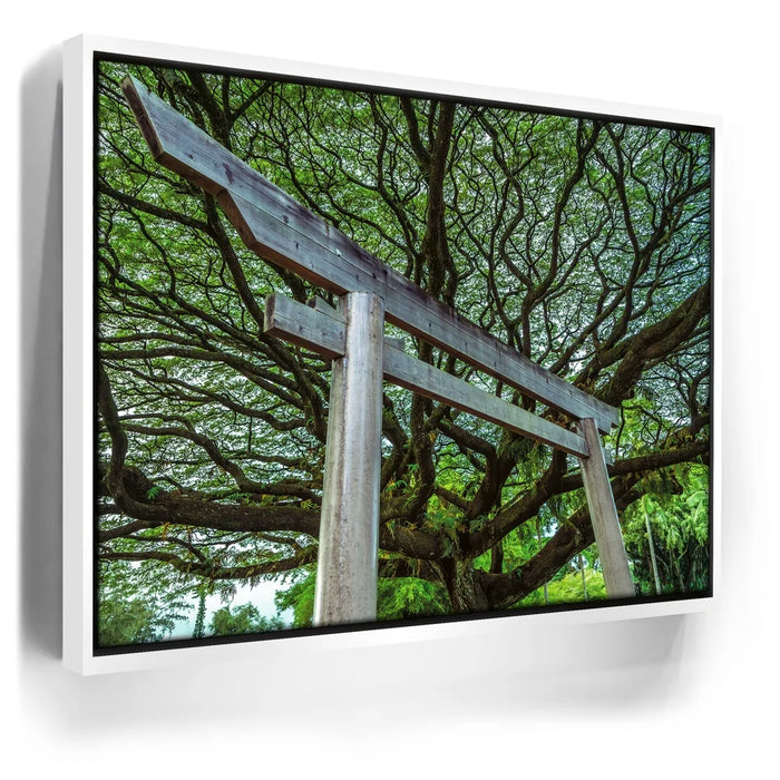 Featured image 6 for Torri Gate Beneath Heavenly Tree