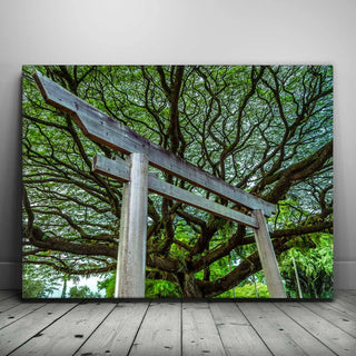 Torri Gate Beneath Heavenly Tree