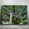 Featured image 1 for Torri Gate Beneath Heavenly Tree