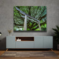 Thumbnail image 2 for Torri Gate Beneath Heavenly Tree