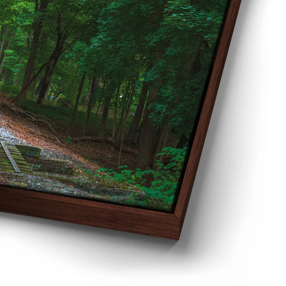 Featured image 14 for Train Track Perspective