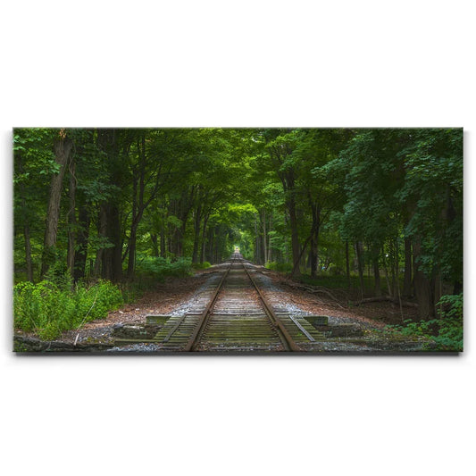 Train Track Perspective