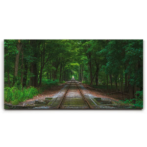 Train Track Perspective