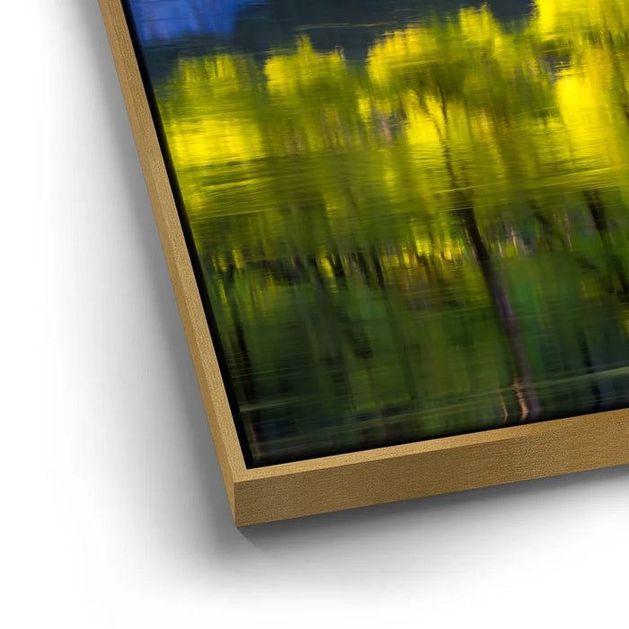 Featured image 12 for Tree Mirror, Yosemite