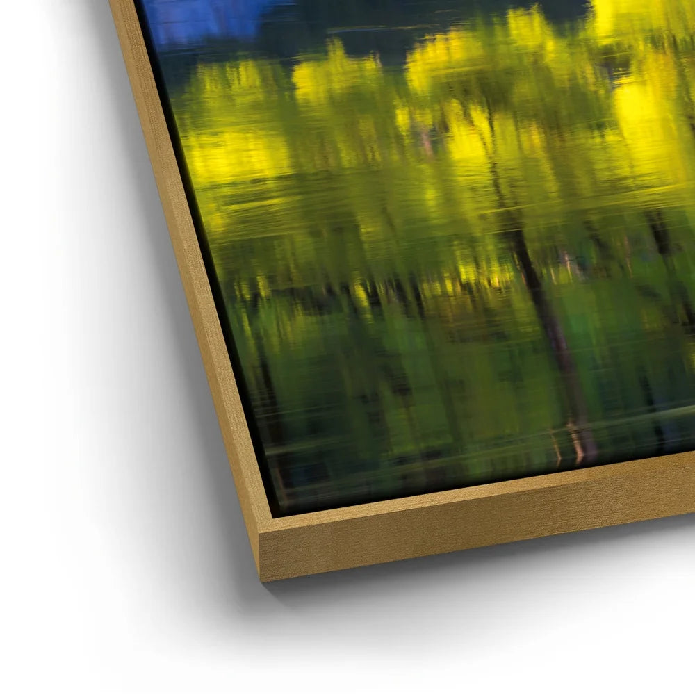 Featured image 12 for Tree Mirror, Yosemite