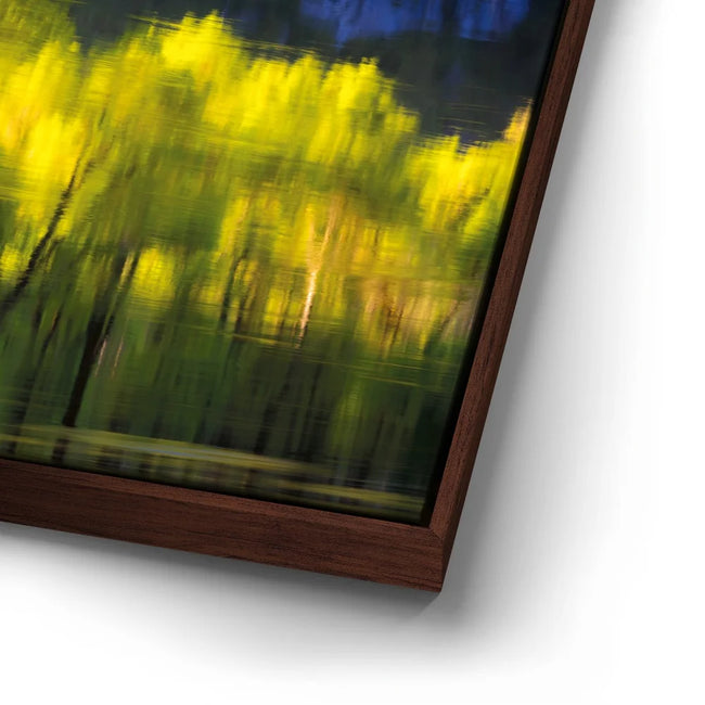 Featured image 14 for Tree Mirror, Yosemite