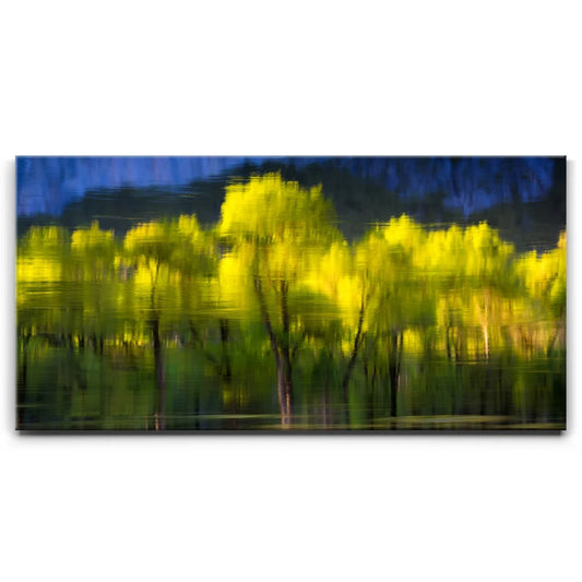 Tree Mirror, Yosemite Posters, Prints, & Visual Artwork TheGoatWallArt LANDSCAPE - WIDE 30x15 0.75" STANDARD