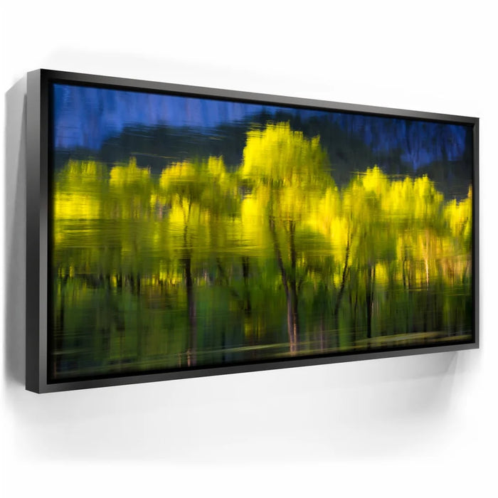 Featured image 5 for Tree Mirror, Yosemite