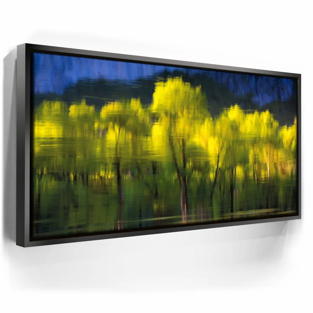 Featured image 5 for Tree Mirror, Yosemite