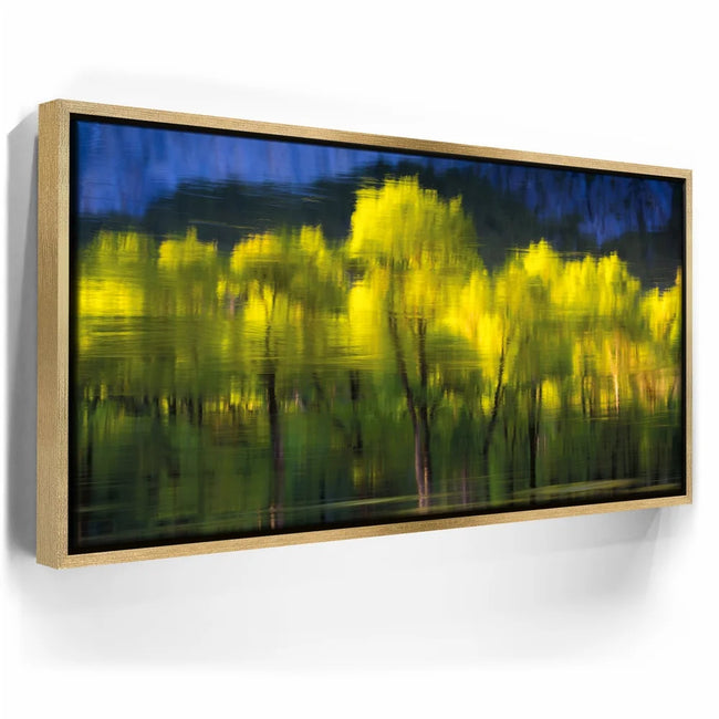 Featured image 7 for Tree Mirror, Yosemite