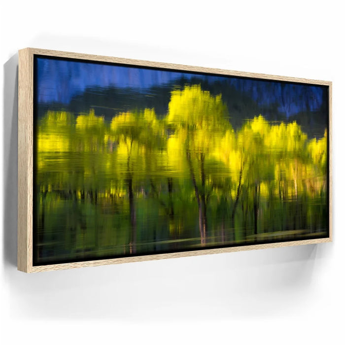 Featured image 9 for Tree Mirror, Yosemite