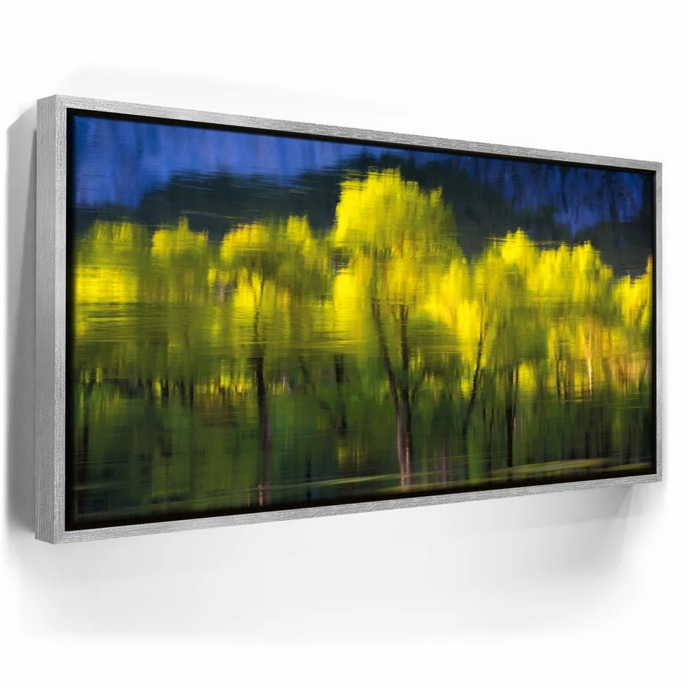 Featured image 8 for Tree Mirror, Yosemite