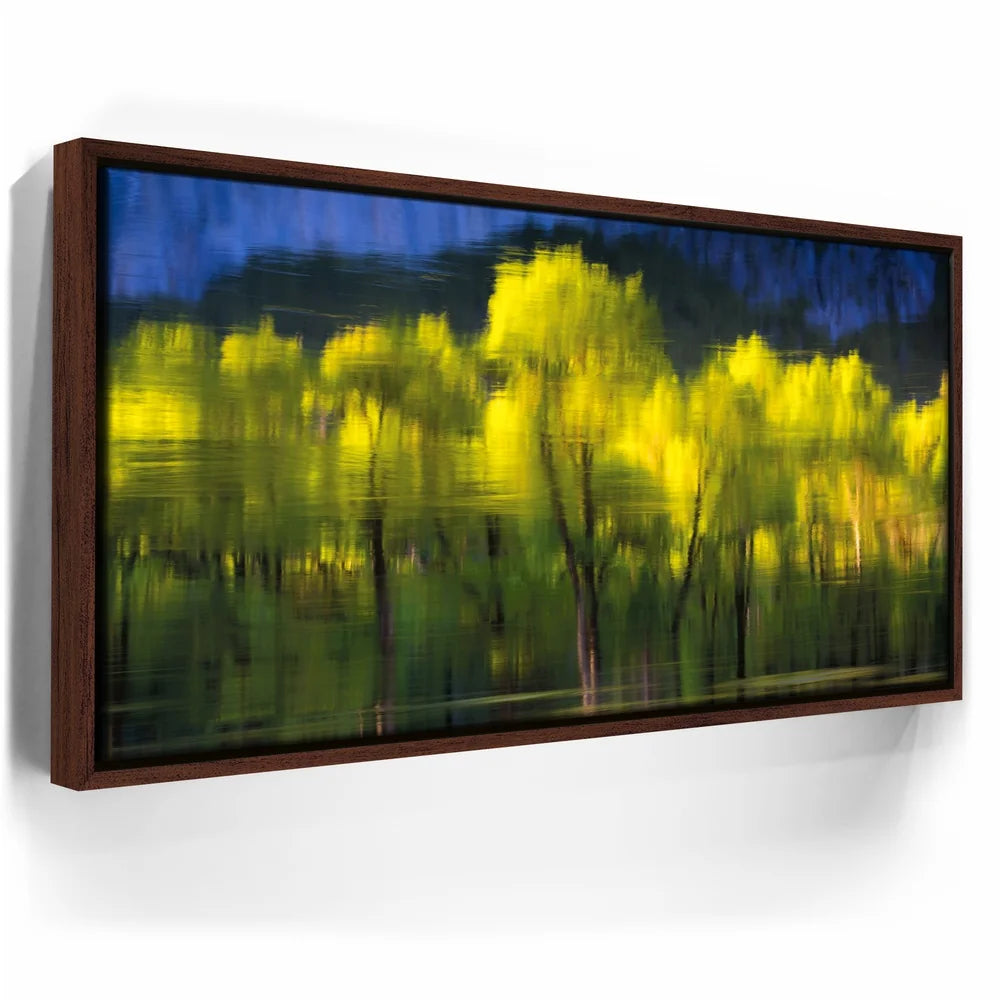 Featured image 10 for Tree Mirror, Yosemite