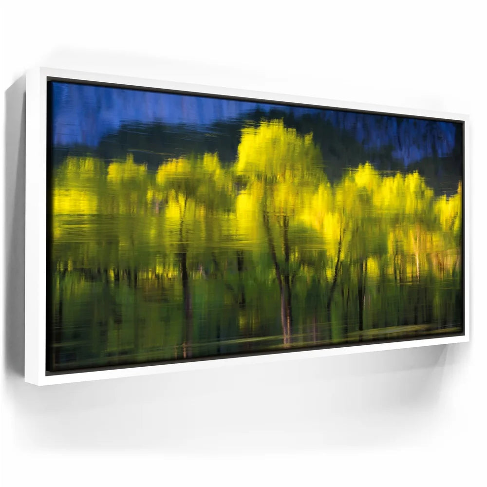 Featured image 6 for Tree Mirror, Yosemite