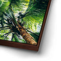 Thumbnail image 14 for Tropical Grove