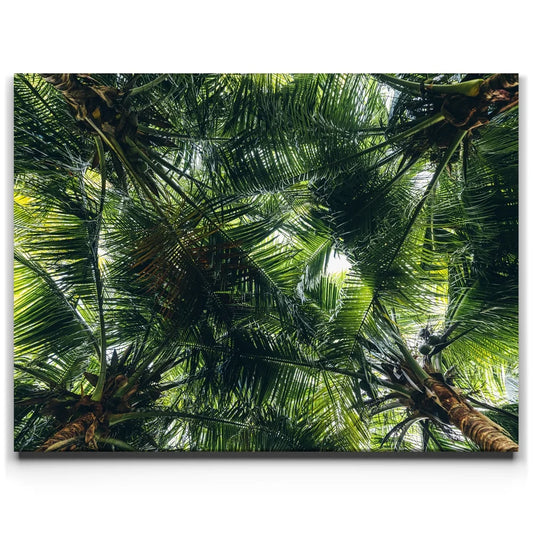Tropical Grove