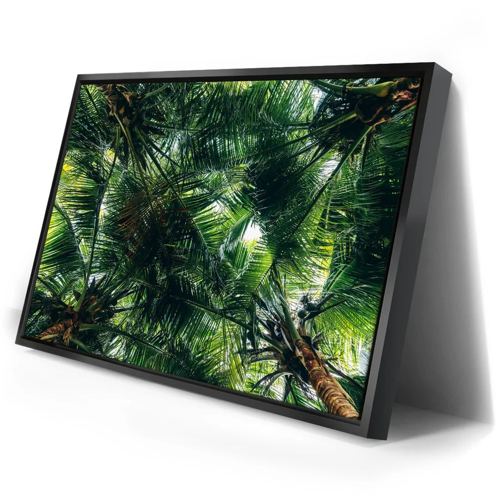 Featured image 2 for Tropical Grove