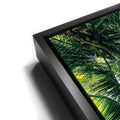 Thumbnail image 11 for Tropical Grove