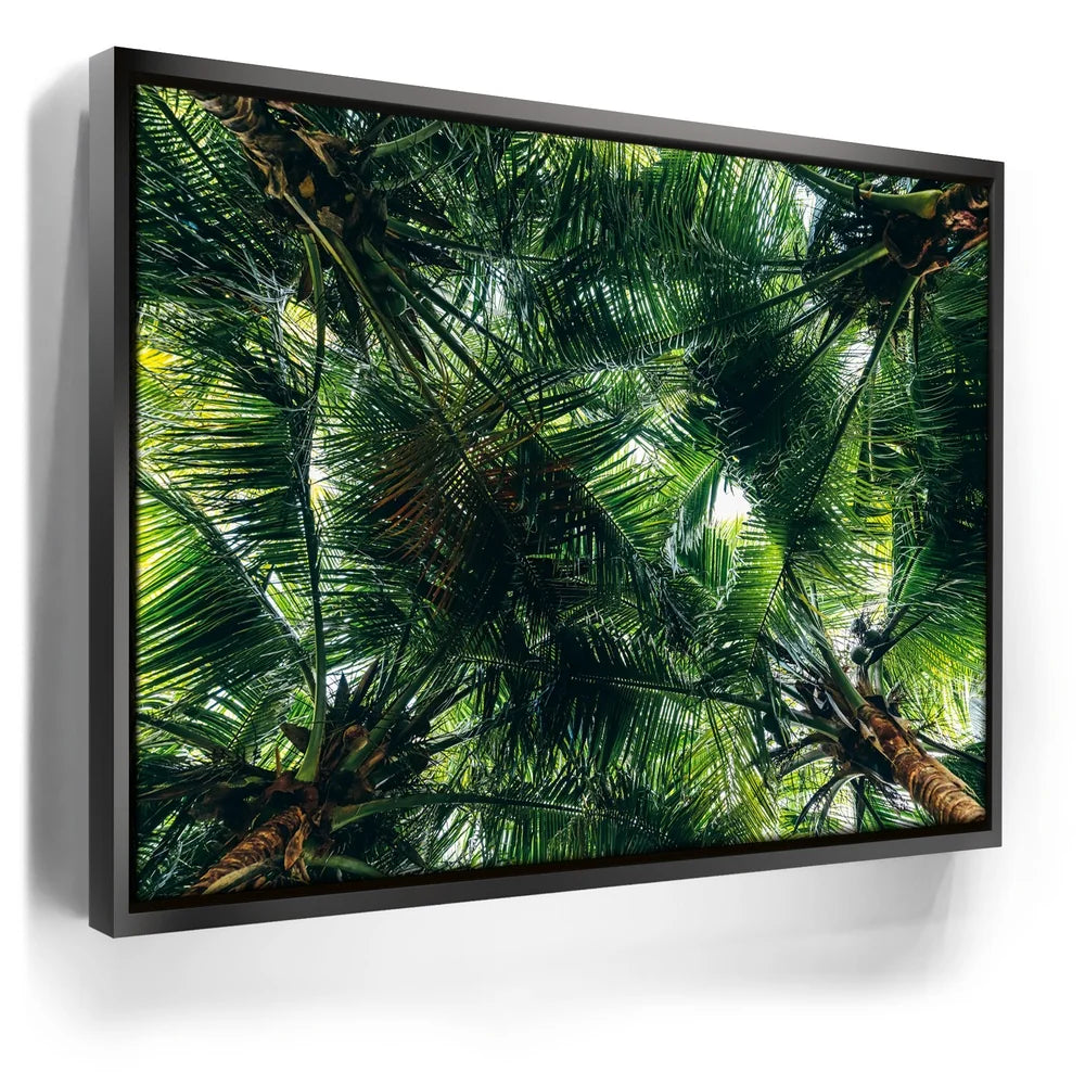 Featured image 5 for Tropical Grove