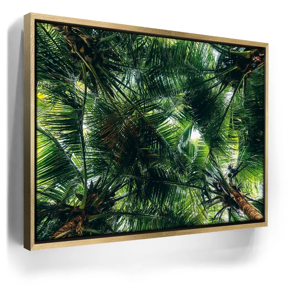 Featured image 7 for Tropical Grove