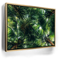 Featured image 7 for Tropical Grove