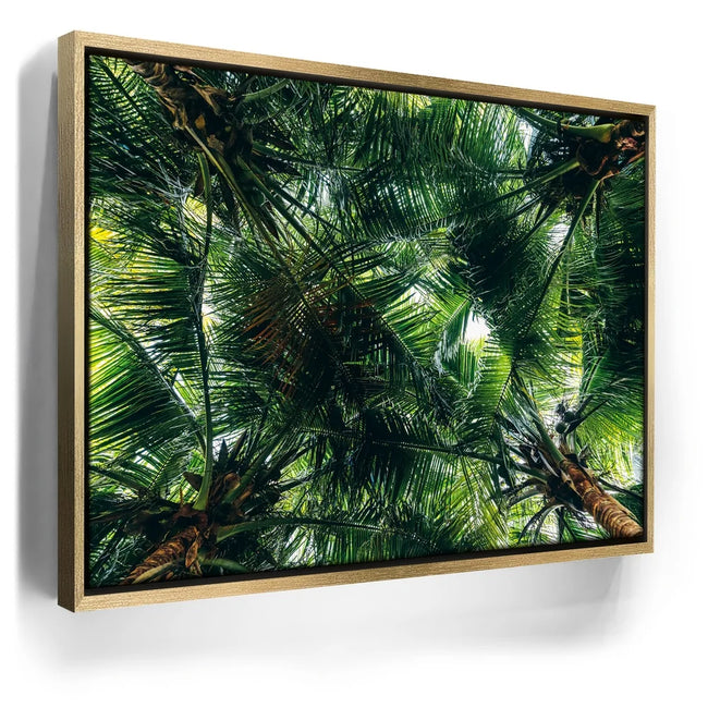 Featured image 7 for Tropical Grove